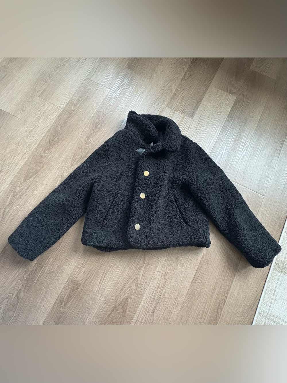 Zara Black Teddy Jacket